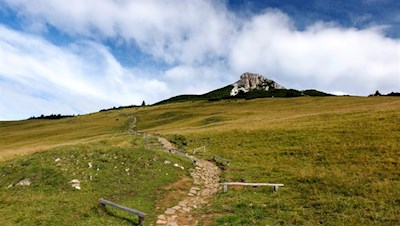 Der erste Streckenabschnitt führt durch Weidewiesen