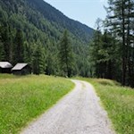 Durch blumenfrohe Almwiesen zur Huberalm