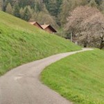 Teile der Wanderung folgen der Höfestraße