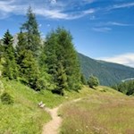 Hinter der Nockalm führt der Weg durch Wiesen auf das Valler Jöchl