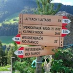 Bei der Busegge Alm öffnen sich weitere Wandermöglichkeiten