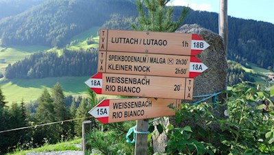 Bei der Busegge Alm öffnen sich weitere Wandermöglichkeiten