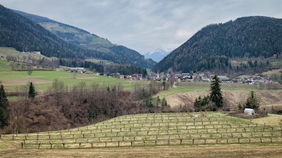 Ausblick auf Montal während des Anstiegs nach Maria Saalen