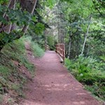 Der sanfte Waldpfad regt zum Genießen mit allen Sinnen an