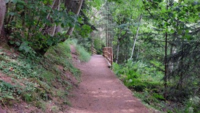 Der sanfte Waldpfad regt zum Genießen mit allen Sinnen an