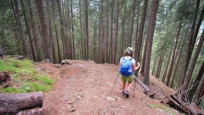 Der Waldweg steigt recht steil in Richtung Talschluss ab