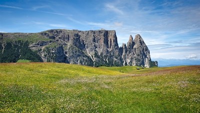 Blick auf den Schlern von der Seiser Alm