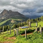 In-den-Latemarwiesen-öffnet-sich-der-wohl-schönste-Ausblick-auf-den-Rosengarten