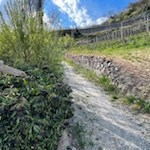 Der Anstieg von Klausen nach Villanders ist gut ausgeschildert