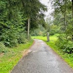 Der-Ehrenburger-Meilenstein-säumt-den-Römerweg