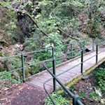 Sanft quert der Riffianer Waalweg die steilen Waldhänge