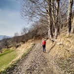 Auf dem Mitterweg führt die Wanderung nach Lajen zurück