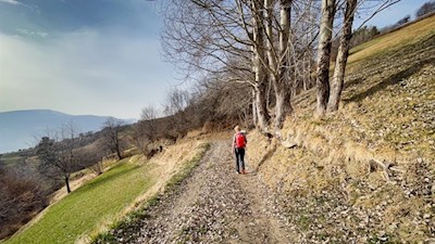 Auf dem Mitterweg führt die Wanderung nach Lajen zurück