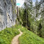 Der Gamssteig quert Wald- und Schotterhänge