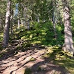 Im steten Anstieg zur Grente Alm