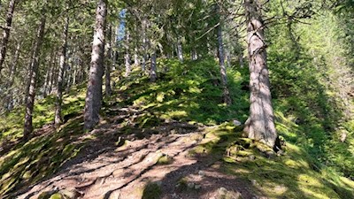 Im steten Anstieg zur Grente Alm