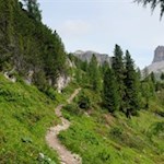 Sulla via del ritorno