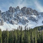 The imposing Latemar rises above the tops of the spruces