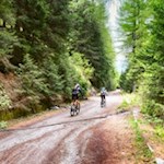 Auf dem breiten Forstweg Nr. 3 zurück zum Ausgangspunkt