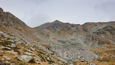 Hinter der Waldgrenze wandert man zunächst in Richtung Kahlgeifel