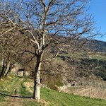 Wanderung von Brixen nach Elvas