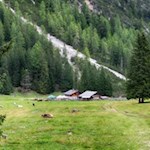 Inmitten einer einladenden Wiese liegt die beliebte Grünwaldalm