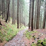 Auf dem Weg zur Angerer Alm