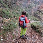 Abstieg auf dem Weg Nr. 546