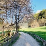 Von St. Konstantin führt ein sanfter Spazierweg nach Völs