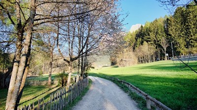Von St. Konstantin führt ein sanfter Spazierweg nach Völs