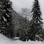 Spilucker Naturrodelbahn