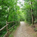 Wanderung von Vahrn zum Vahrner See