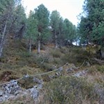 Gesicherte Passage beim Anstieg auf den Puflatsch