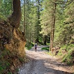 Steil zieht sich der Wanderweg zur Croda da Lago Hütte