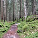 Durch einen Märchenwald nach Bad Ratzes