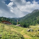 Inmitten waldumrahmter Wiesen liegt die Latscher Alm