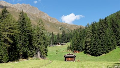 Die Kradorfer Alm ist bereits in Sicht
