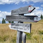 Der Weg zur Lieg Alm ist nicht zu verfehlen