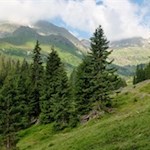 „Das Geheimnis des Glücks ist die Freiheit. Das Geheimnis der Freiheit ist Natur!“ (Perikles)