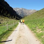 Auf dem Weg Nr. 30 zurück nach Maiern