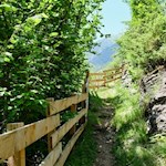 Auf schmalen Pfaden in RIchtung Hühnerspielhütte