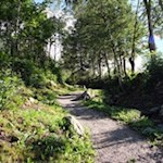 Am Beginn des Leonardiweges