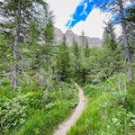 Durch den Wald zum nunmehr nahen Kaiserstein