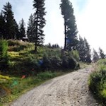 Im angenehmen Anstieg zur Taistner Alm