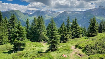 Der Anstieg auf den Sattelberg ist gut markiert