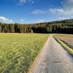 Durch Wiesen und Wälder zurück nach Pfalzen