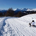 Abfahrt auf der Reinswalder Rodelbahn