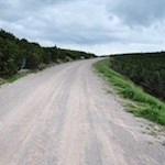 Der Weg Nr. 19 führt auf die Schwarzseespitze zurück