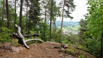 Auf dem Katzenlochbühel stand einst eine spätantike Festung...