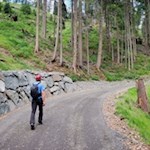 Auf asphaltierten Wanderwegen zur Hagneralm